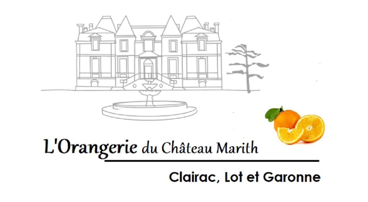 Orangerie Du Chateau Marith - Domaine Avec Piscine Clairac  Eksteriør bilde