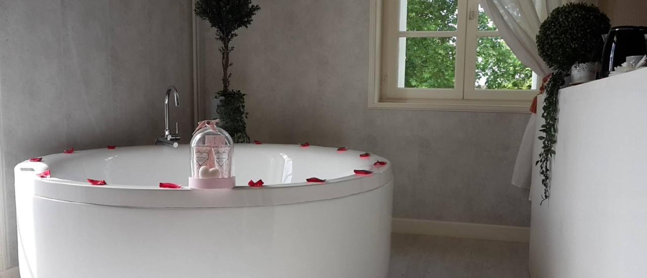 Orangerie Du Chateau Marith - Domaine Avec Piscine Clairac  Eksteriør bilde