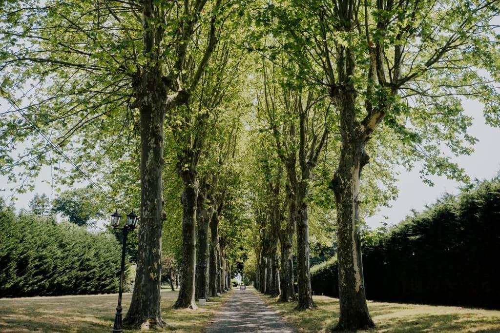 Orangerie Du Chateau Marith - Domaine Avec Piscine Clairac  Eksteriør bilde
